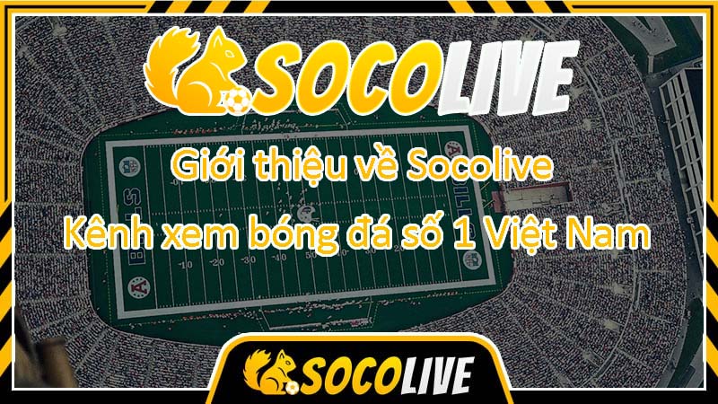Những dịch vụ mà Socolive triển khai
